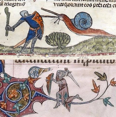 ⚡️🌞 Sol Brah 🌞🐬 tweet media