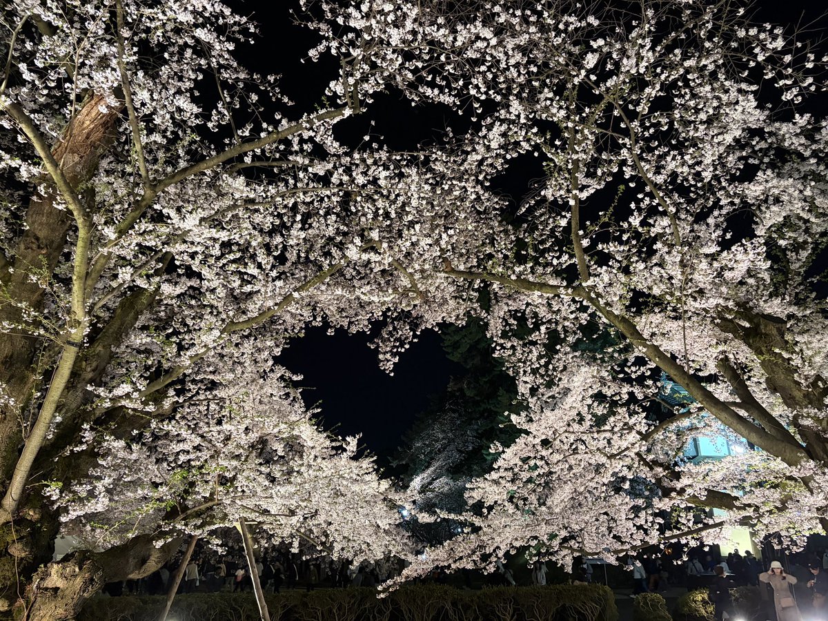 現(ゲン) tweet media