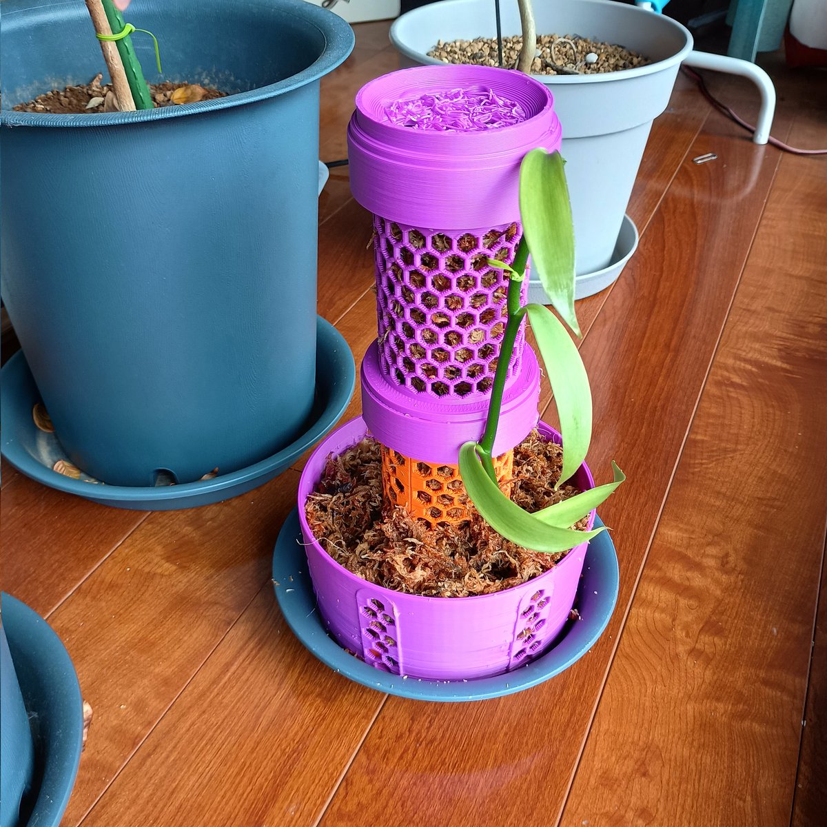 cbxhybrid's tweet photo. SK本舗さんの植木鉢コンテスト、参加賞フィラメントが2kgも届いた、バニラ用の鉢を作ったけど他の参加者のレベルとセンス高すぎ
#SK本舗 https://t.co/SX3EVu81po