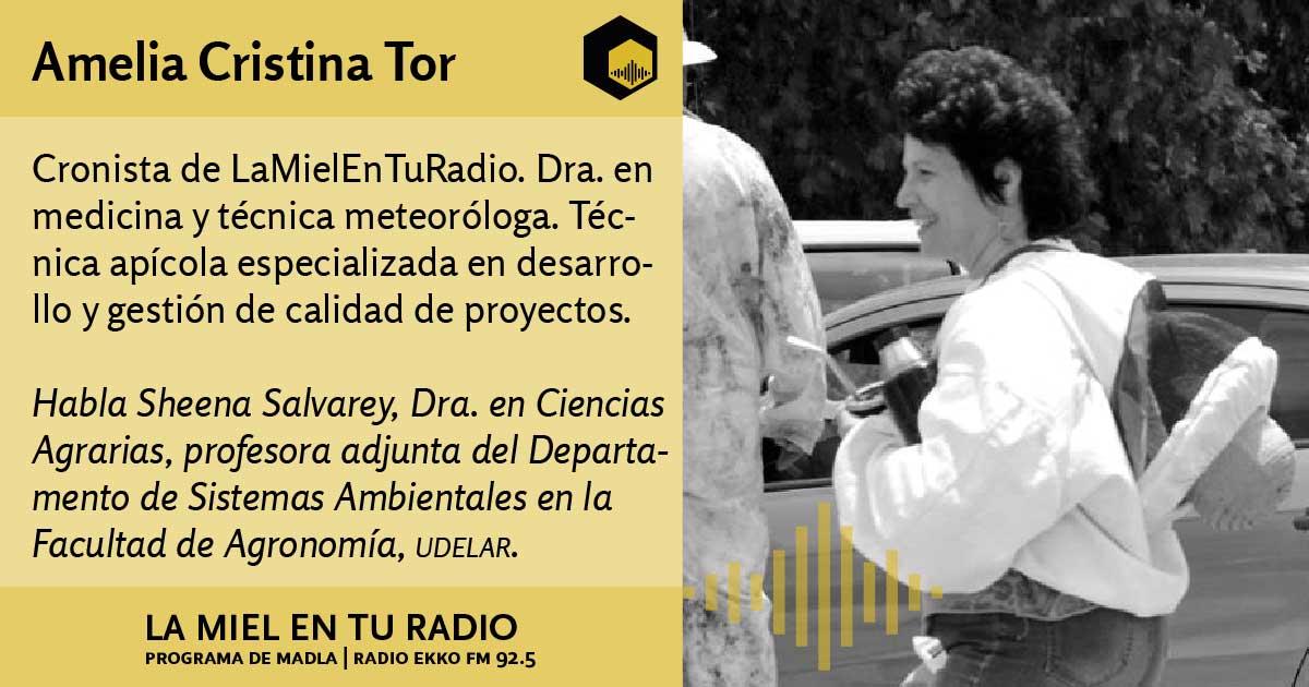 La Miel en tu radio tweet media
