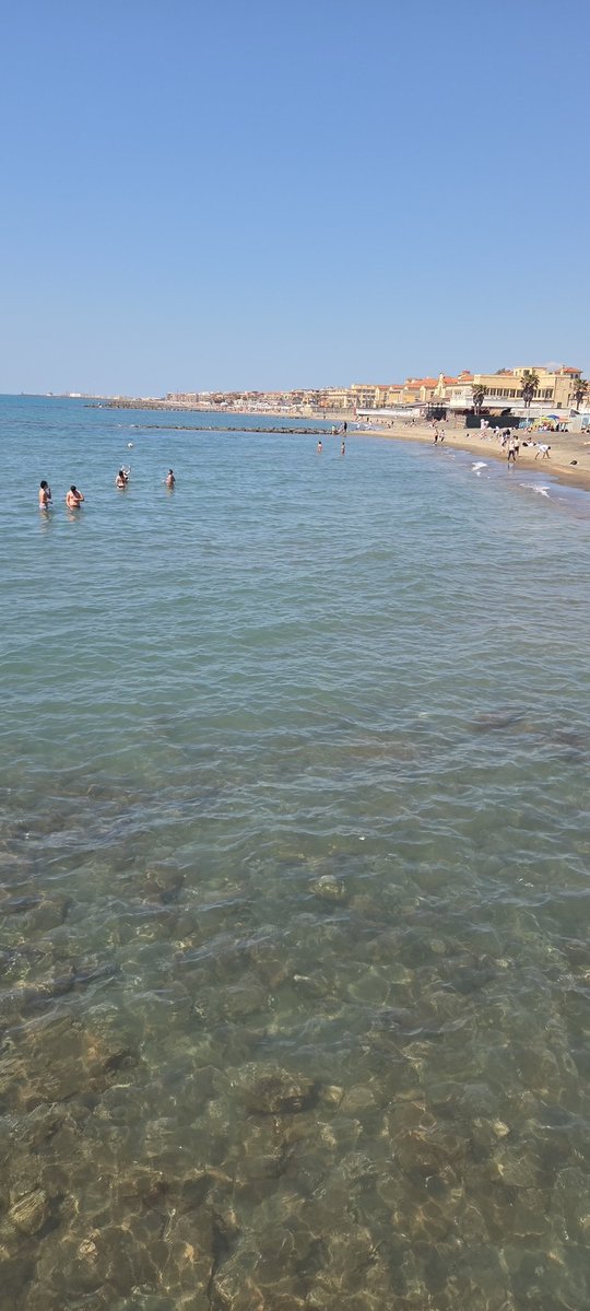 poveropesce's tweet image. #ostia primi bagni al #mare