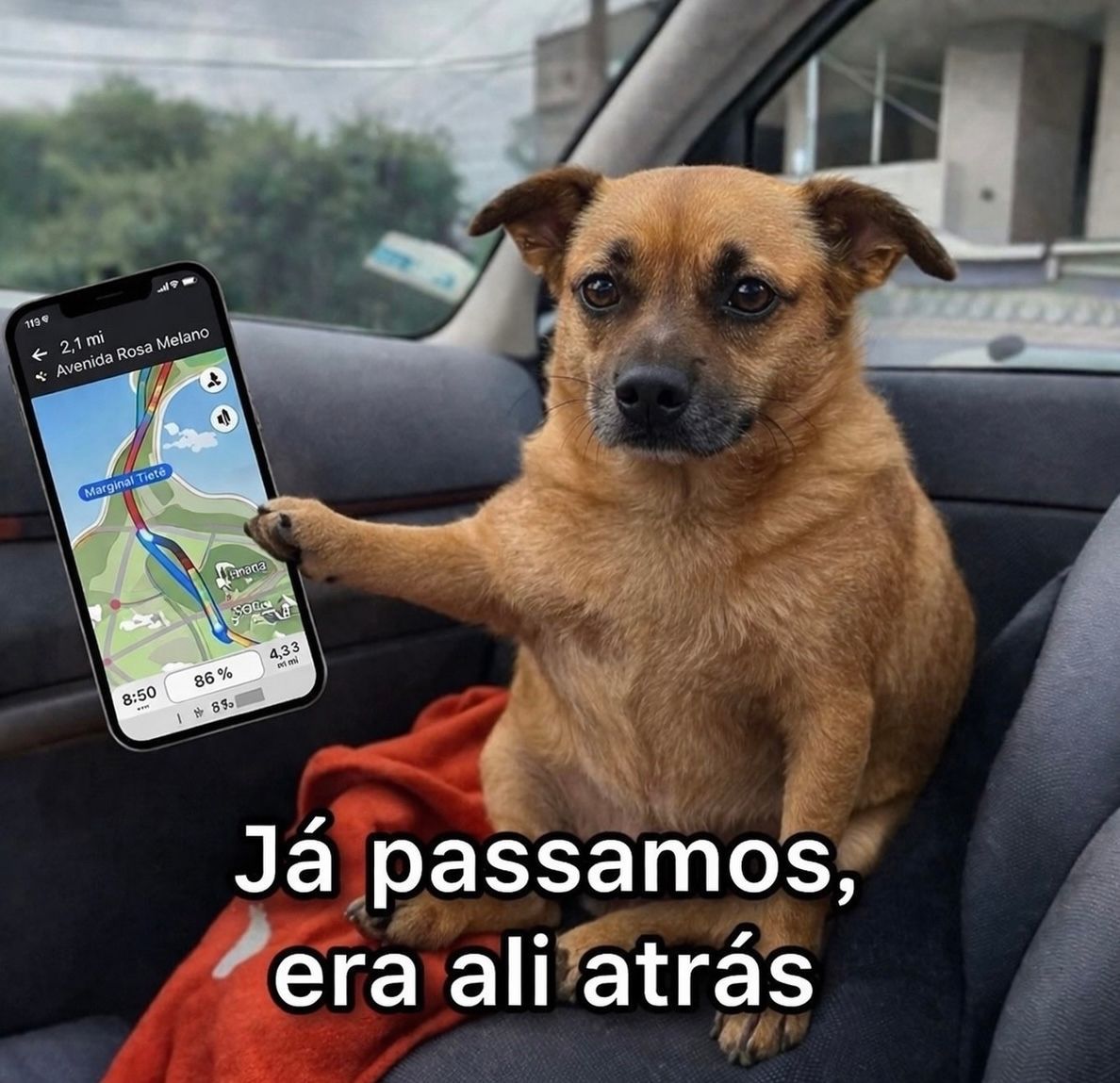 Eu de copiloto: