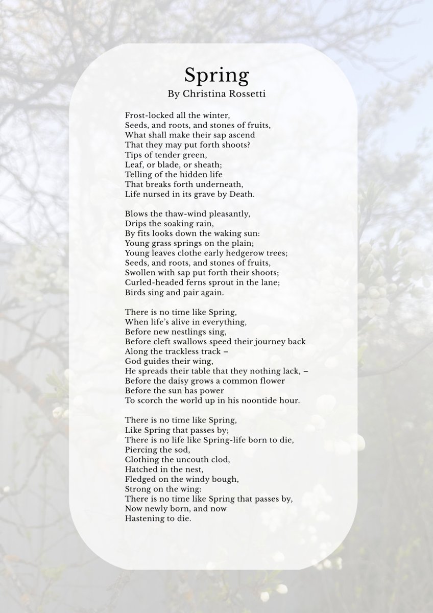 Corncrake Mag tweet media