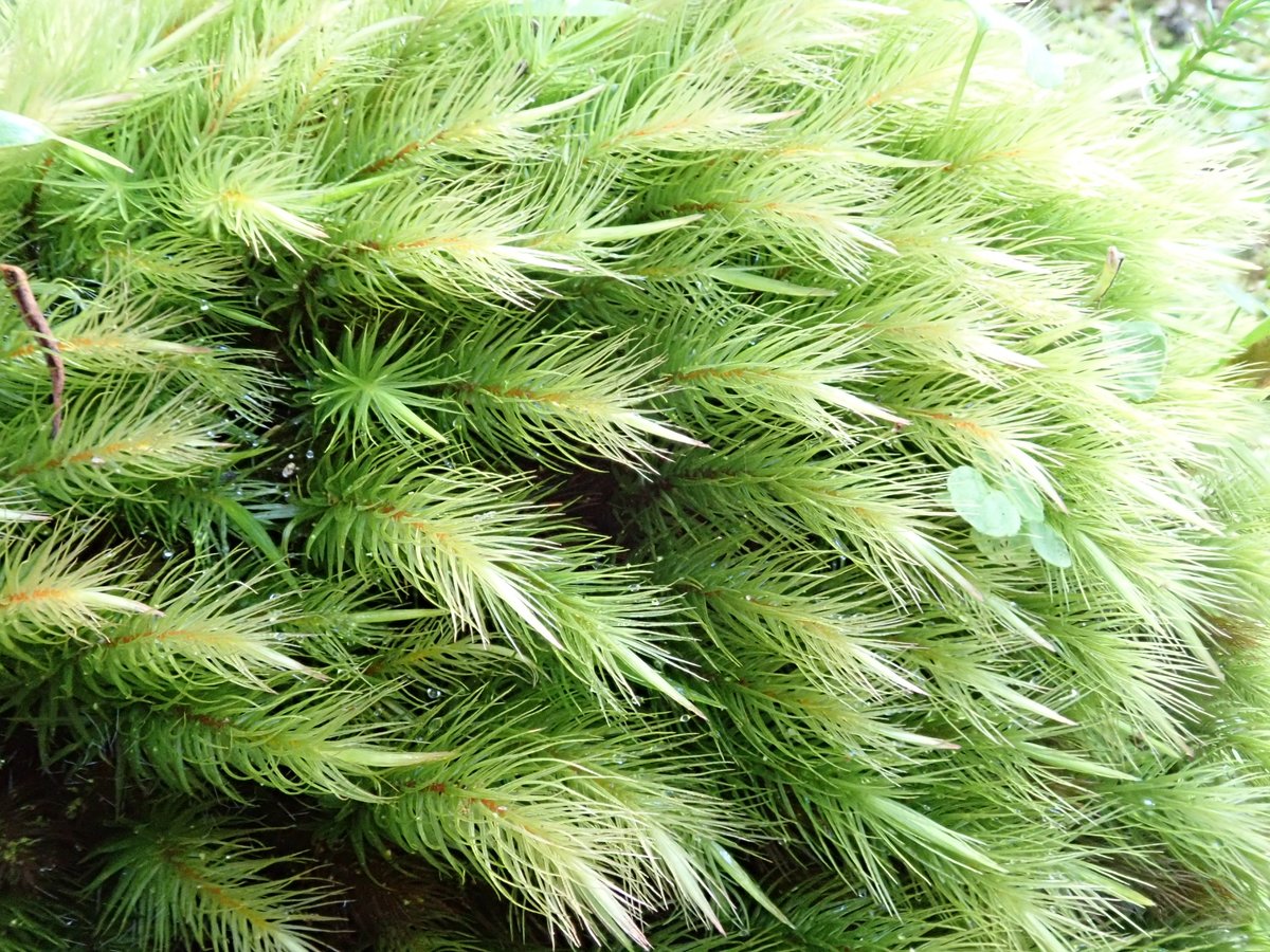 お昼の和みのひと時☕️