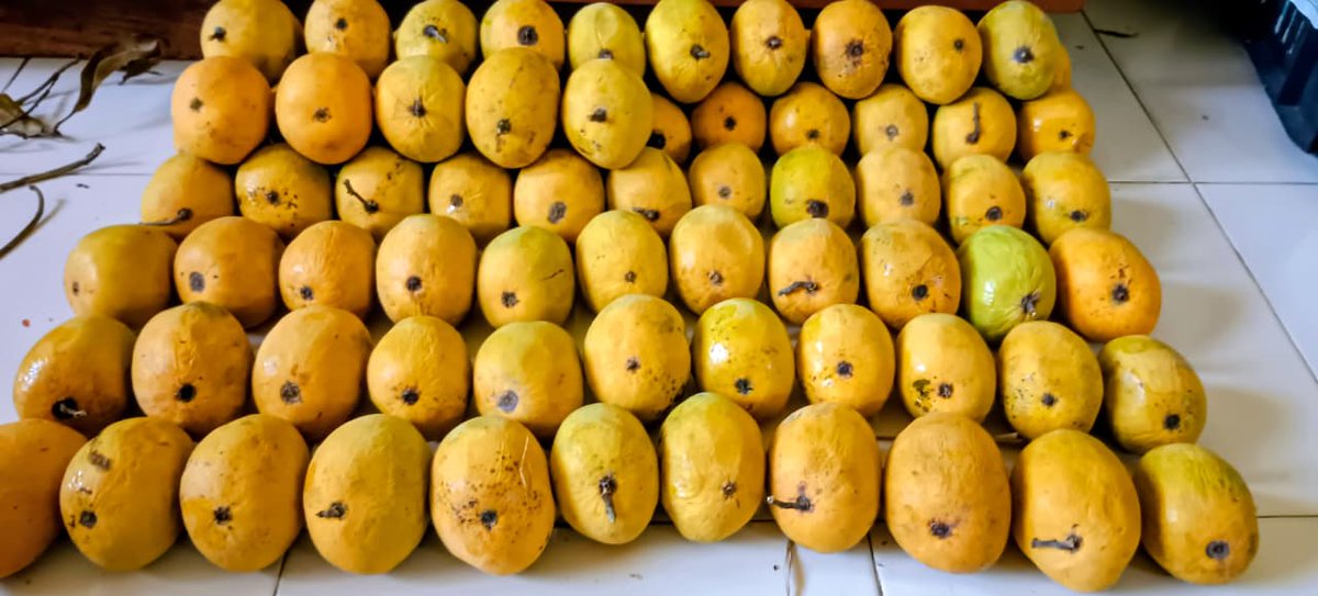 ❤️रमाकांत ❤️ tweet media