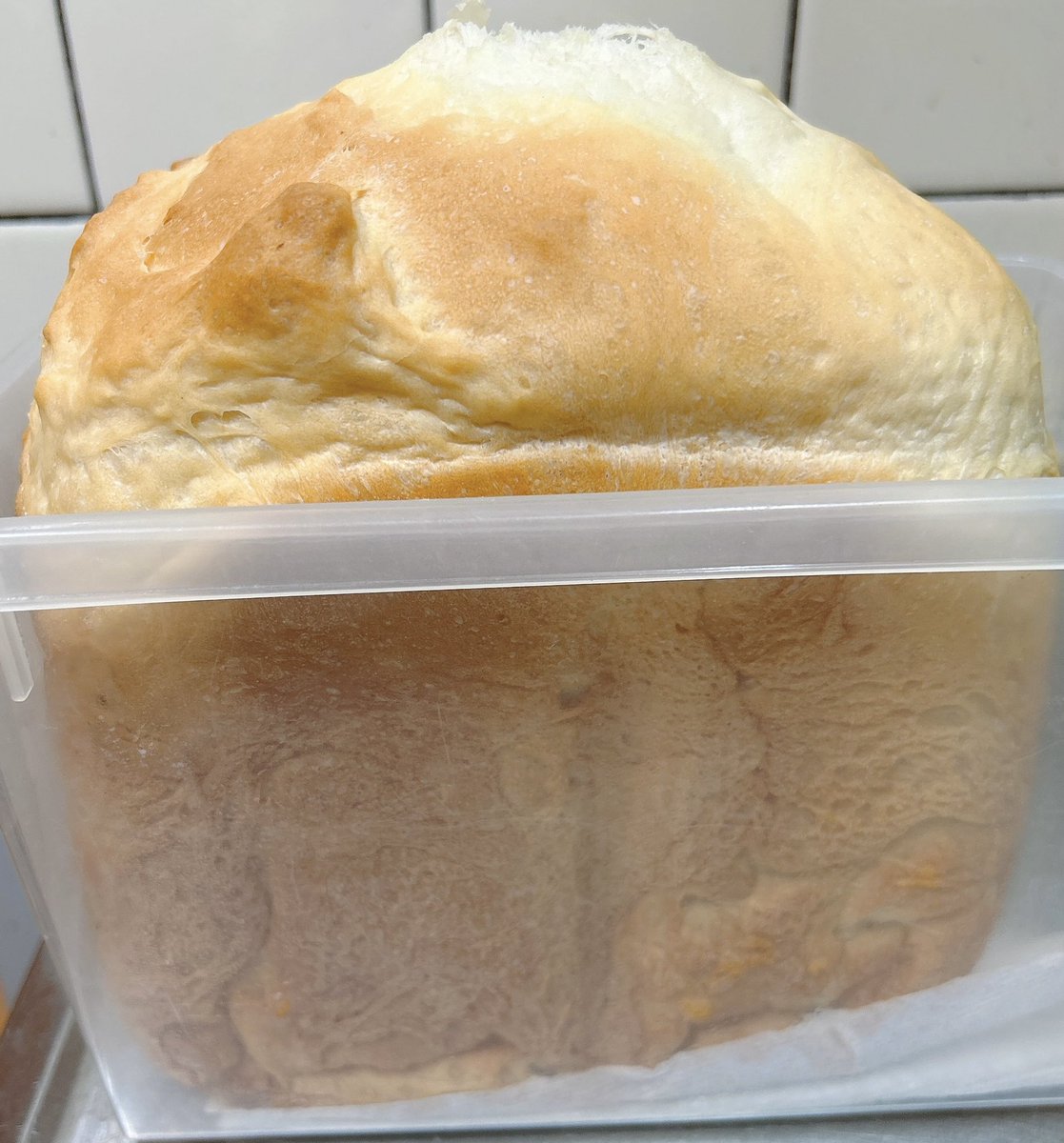 きたまり tweet media