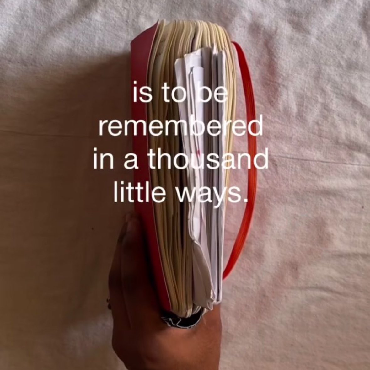 gal౨ৎ tweet media