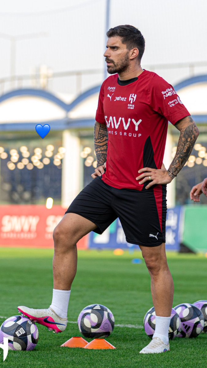 نيفيزه tweet media