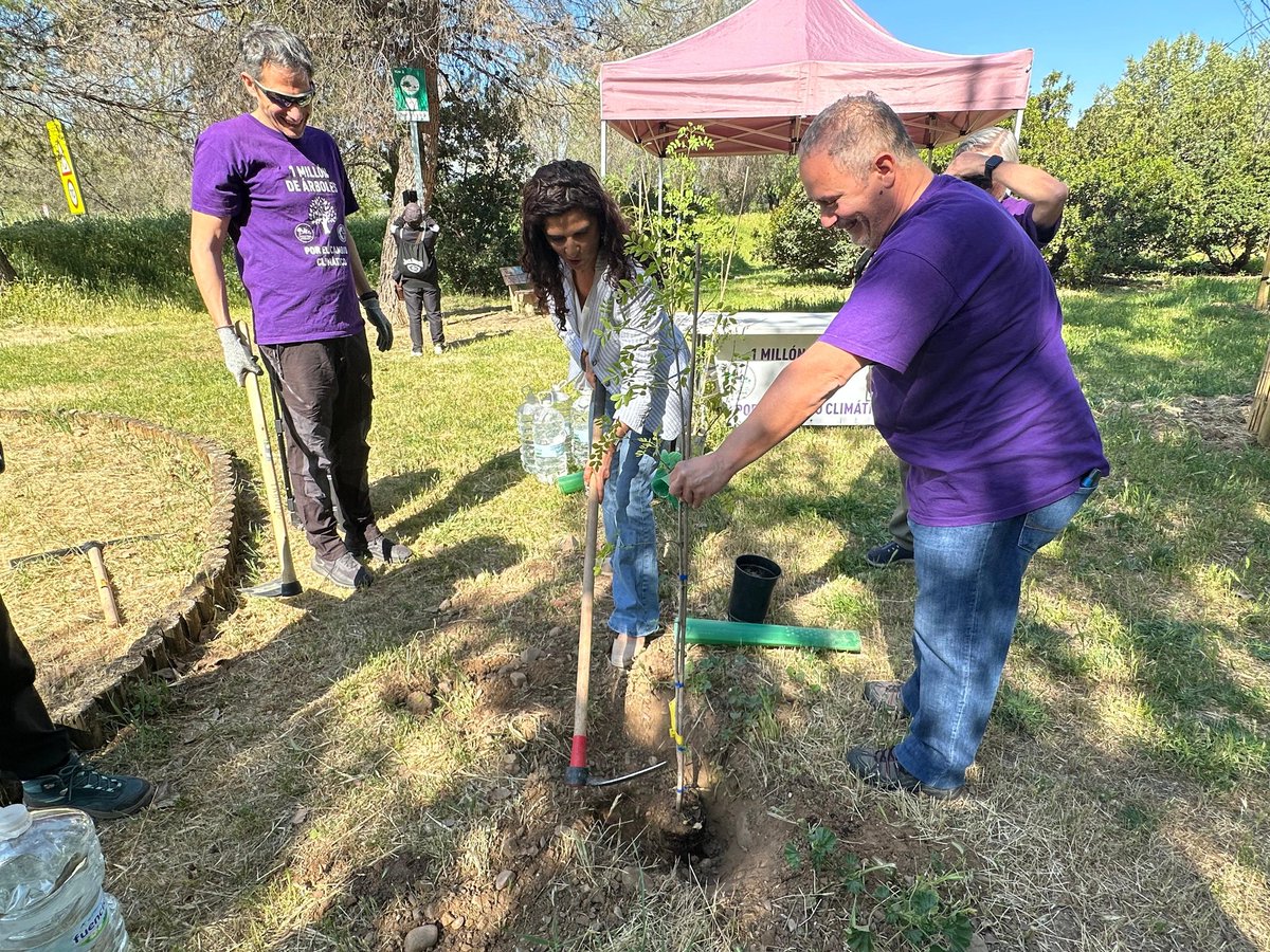 AytoAlcalaH's tweet photo. MEDIO AMBIENTE |
🌿 Este sábado se ha inaugurado el Punto Kilométrico 3 del Anillo Verde de Alcalá de Henares, impulsado por el colectivo Un millón de árboles por el cambio climático - Alcalá Verde.

Un acto muy especial en el que se ha homenajeado a la Asociación de Amigos del Camino de Santiago Complutense y a su fundador, Emilio Pacios Bisbal, por su gran labor.

Han asistido entidades colaboradoras y los concejales de Medio Ambiente, Vicente Pérez, y de Participación Ciudadana, @esther_d_andres.