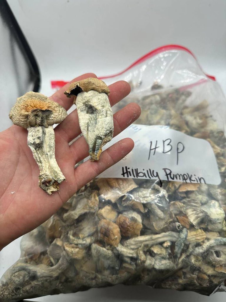 Atlanta_plug420's tweet image. Doing Deliveries right now lmk

#mobileplug #atlplug #Atlanta #atlweedman