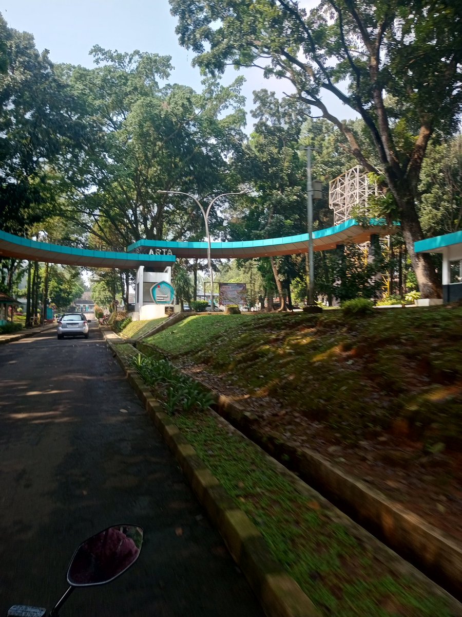 yayaa🐬 tweet media