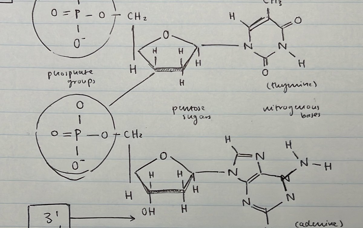 fiona gallagher tweet media