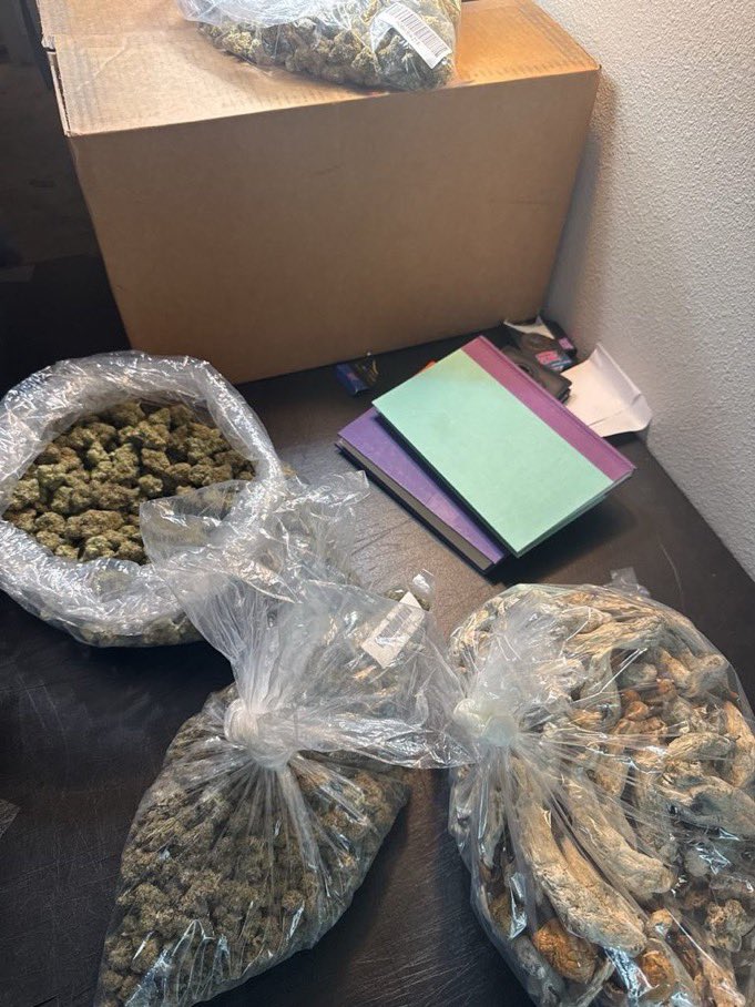 Atlanta_plug420's tweet image. Doing Deliveries right now lmk

#mobileplug #atlplug #Atlanta #atlweedman