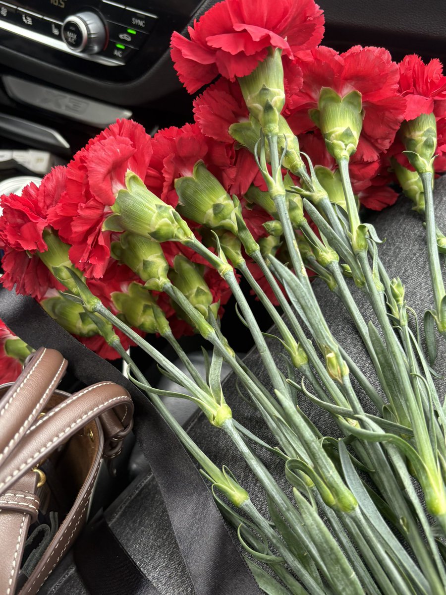 діана tweet media