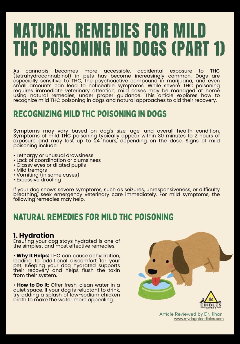 mydogateedibles's tweet image. NATURAL REMEDIES FOR MILD THC POISONING IN DOGS (PART 1)

#dogs #dogsafety #cannabis #edibles #petcare #THC #CBD
mydogateedibles.com