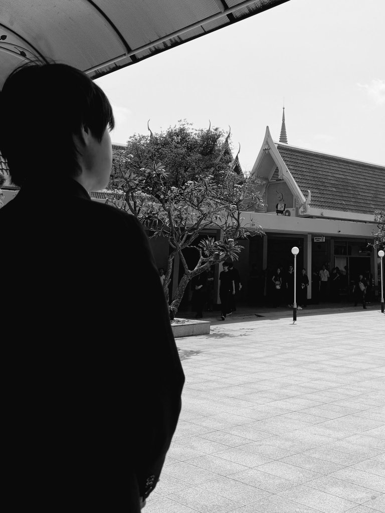 𝘓𝘌𝘈 tweet media