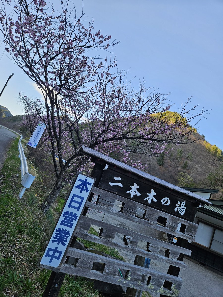今日は木曽福島へ春の蔵びらきに！
中善酒造店さんで木曽踊保存会の皆様による木曽踊りの披露があり一緒に唄い踊らせていただきました！
ほろ酔いな皆さんも一緒に手拍子したり、口ずさんでる方もいたりで良い雰囲気✨
道中で山菜も買えて嬉しい！😆