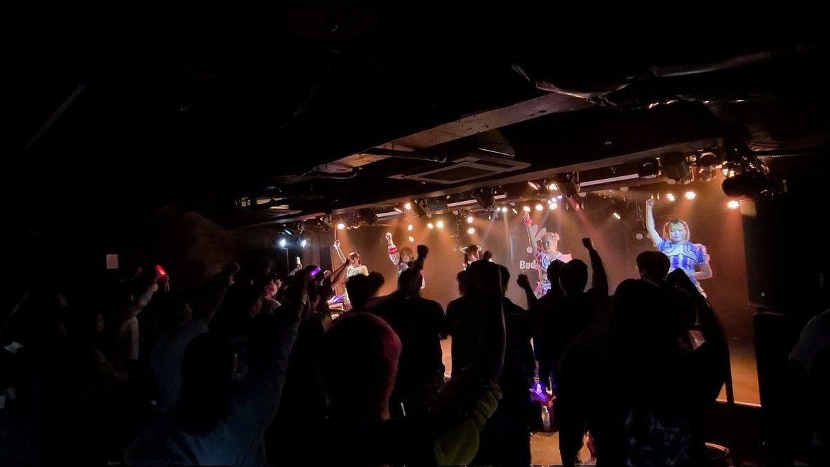 【公式】BUZZDOL LIVE tweet media