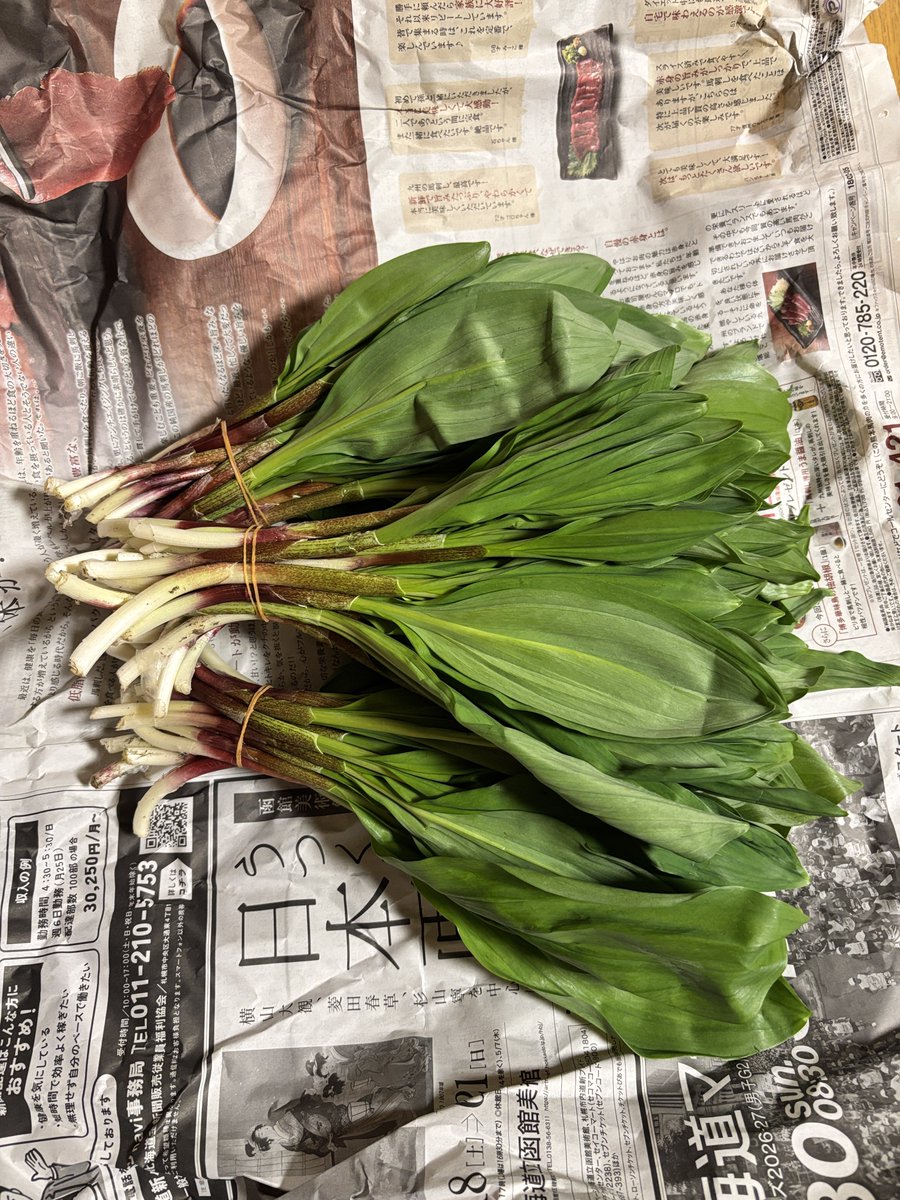 田中さん🐢 tweet media