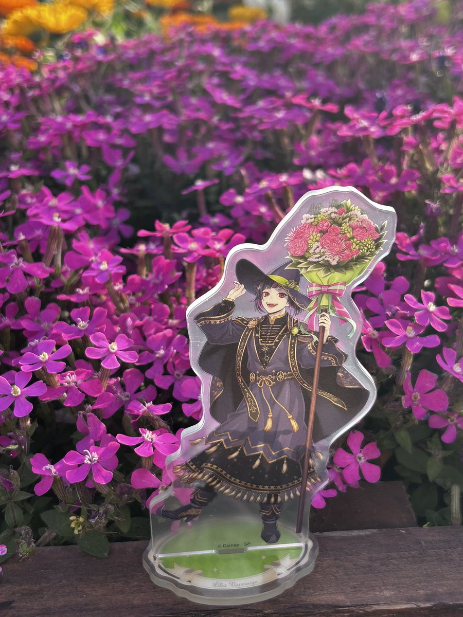 なのちゃん tweet media