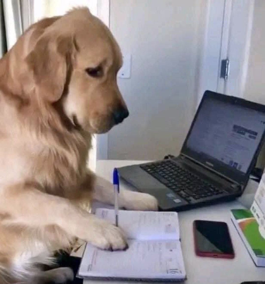 Cuando procrastino tanto y llega el dia de la entrega: