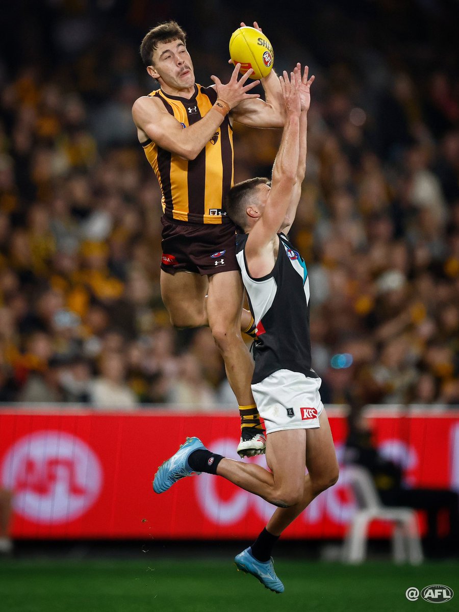 Michael Willson tweet media