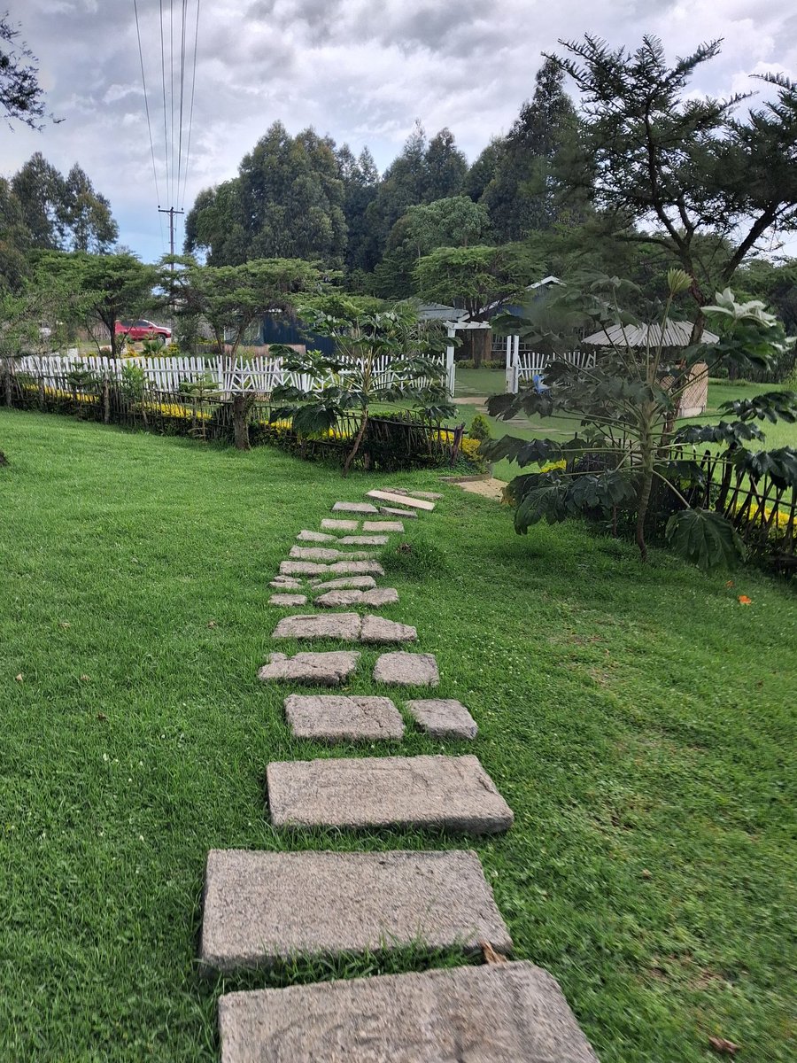 Kiptoo Brian tweet media