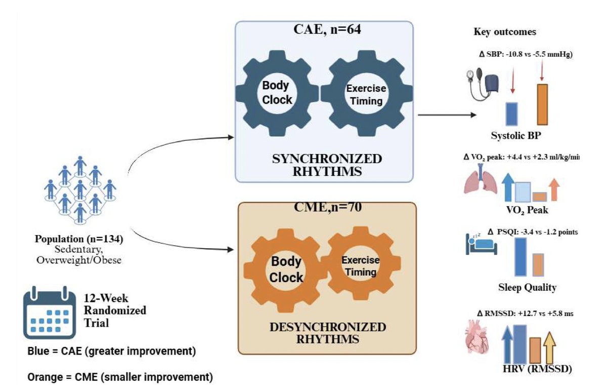 Antonio García-Hermoso tweet media