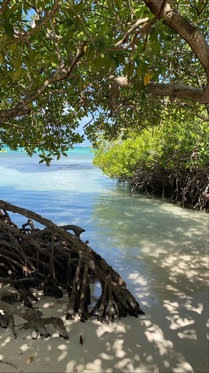 𝑙𝑦𝑟𝑎 tweet media