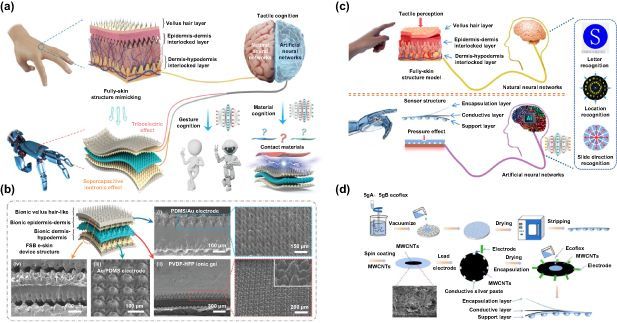 IntJExtremManuf's tweet image. The study highlights how advancements in #Neuromorphic #Optoelectronics and #Biomimetic sensing enable efficient, real-time information processing, offering a transformative approach for next-gen AI. @cau_news @SKKU_1398

#OpenAccess: doi.org/10.1088/2631-7…