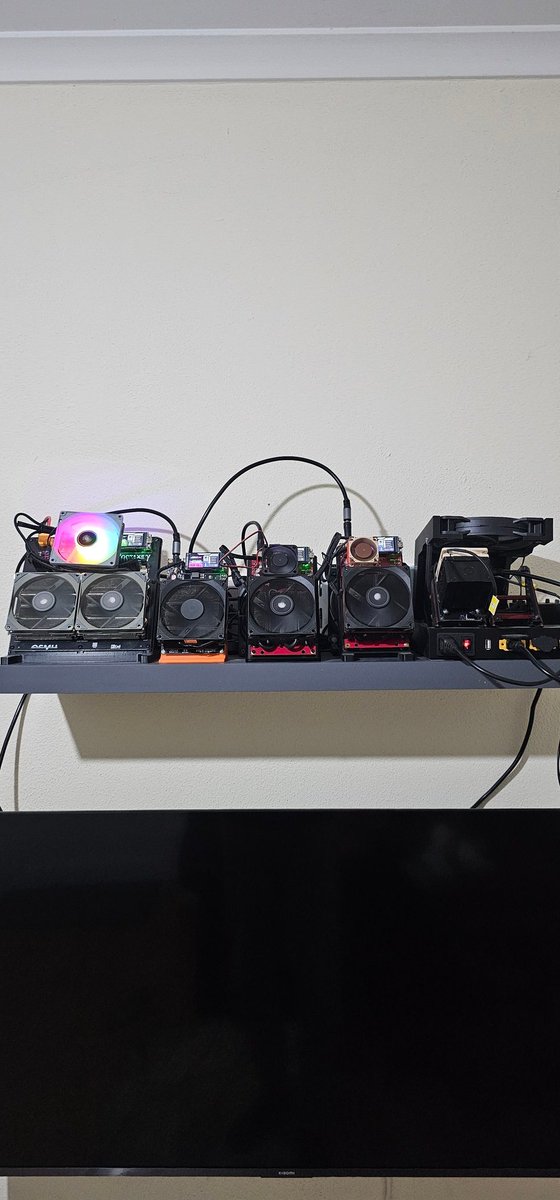 FelipeTavares ₿ Ceo @bitminer33 tweet media