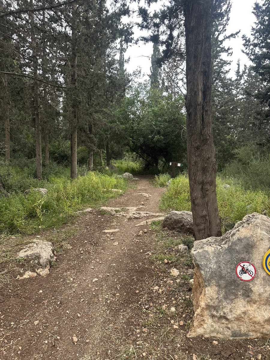 israuor's tweet image. Long time no see 
#KiryatAtaForest

#Running #laufen #trailrunning #coros #strava #israel #ultramarathon