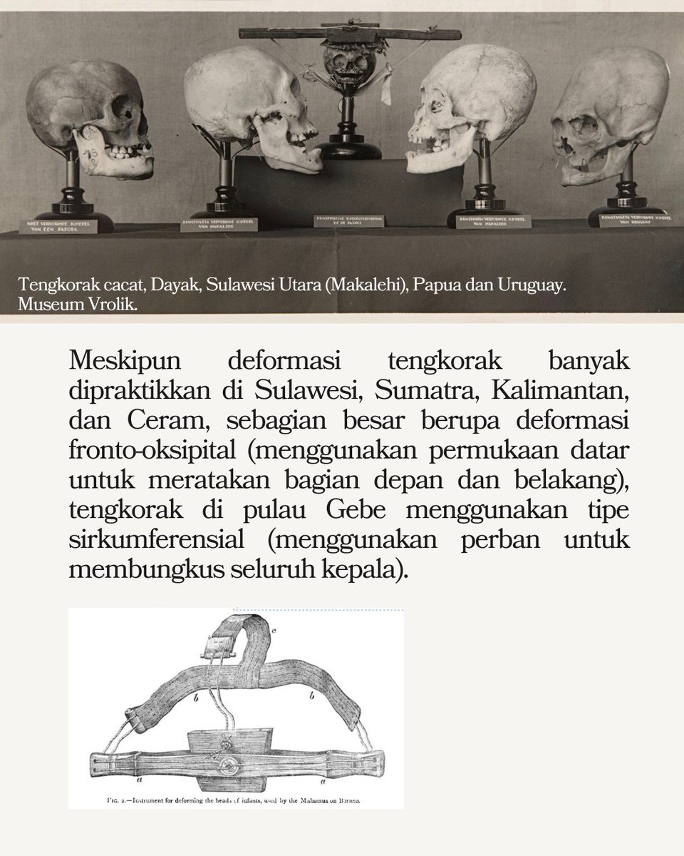 kallinikos1980's tweet image. Hubungan Sulawesi (Siau) - Vanuatu, tradisi deformasi kepala.
#golo #gebe #vanuatu #prasejarah