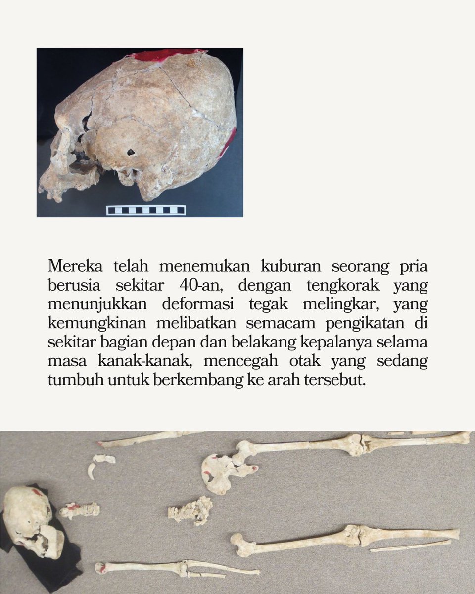 kallinikos1980's tweet image. Hubungan Sulawesi (Siau) - Vanuatu, tradisi deformasi kepala.
#golo #gebe #vanuatu #prasejarah