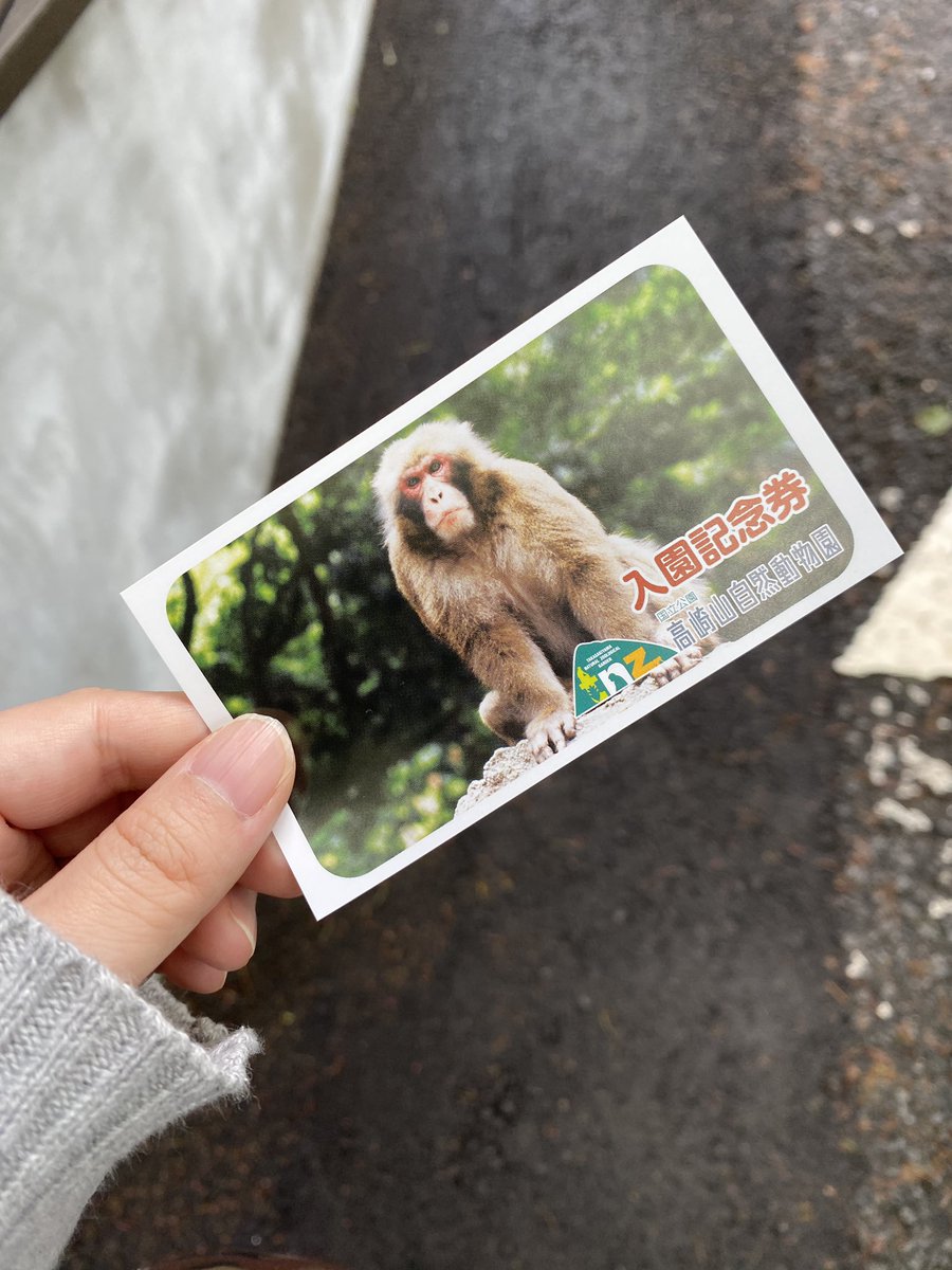 いちぎゅん(ichigyun) tweet media