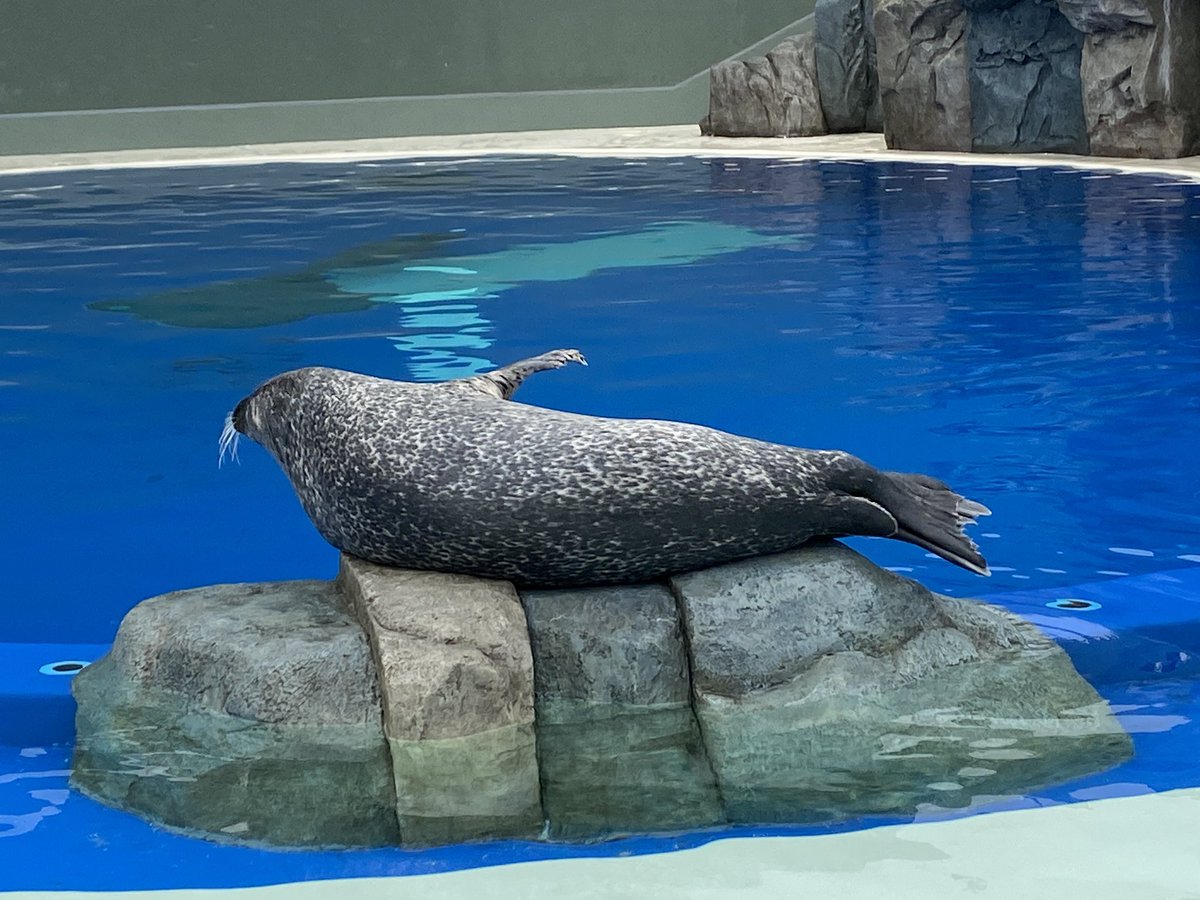 いちぎゅん(ichigyun) tweet media