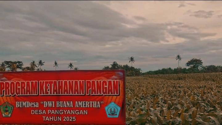 Watini06's tweet photo. Desa Pangyangan Menunjukkan Karya Nyata Menuju Kemandirian, Melalui KETAHANAN PANGAN yg dikelola BUMDesa. 

@YandriSusanto
@KementerianDesaPDT

@KementerianDesaPDT
@BPSDMKementerianDesaPDT
@BUMDesaKelolaKetahananPangan
@KerjaPendampingDesaBerdampak
@TenagaPendampingProfesional https://t.co/rInaxXxow7