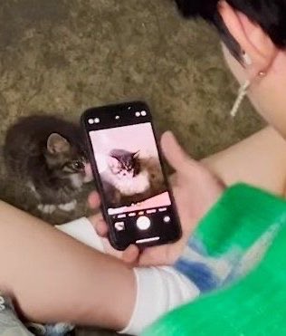 세리🪽 tweet media