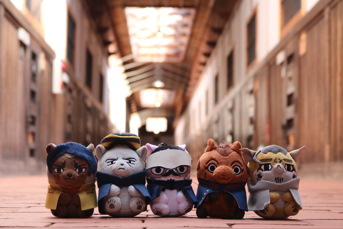 ちゃぼ。 tweet media