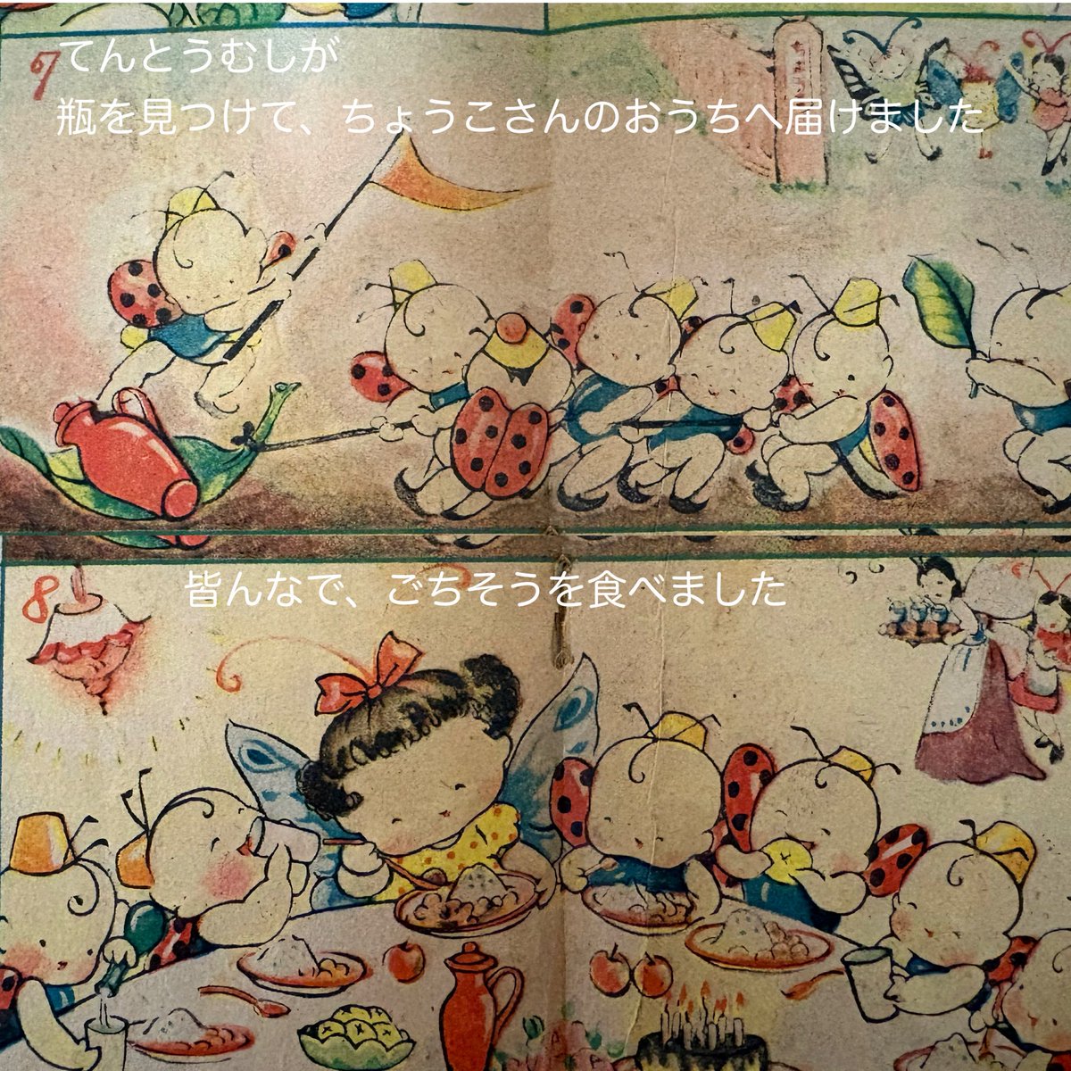 そらいろの樹🌿🕊️ tweet media