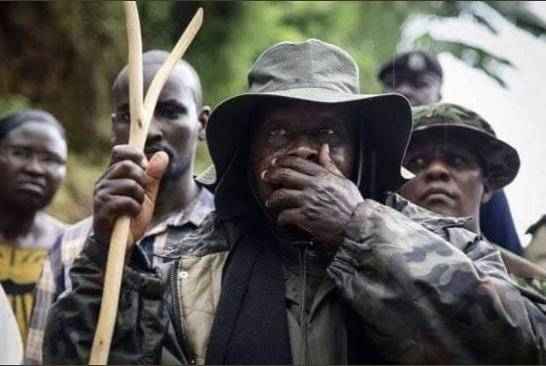 Serendipity 🍒 tweet media