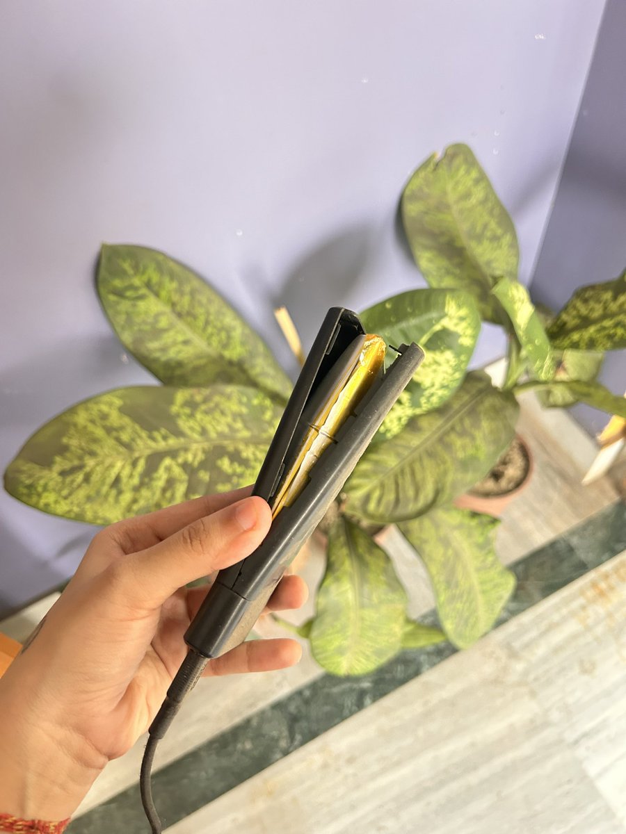 purpleready tweet media