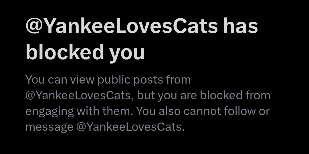 Apple 🌍 tweet media