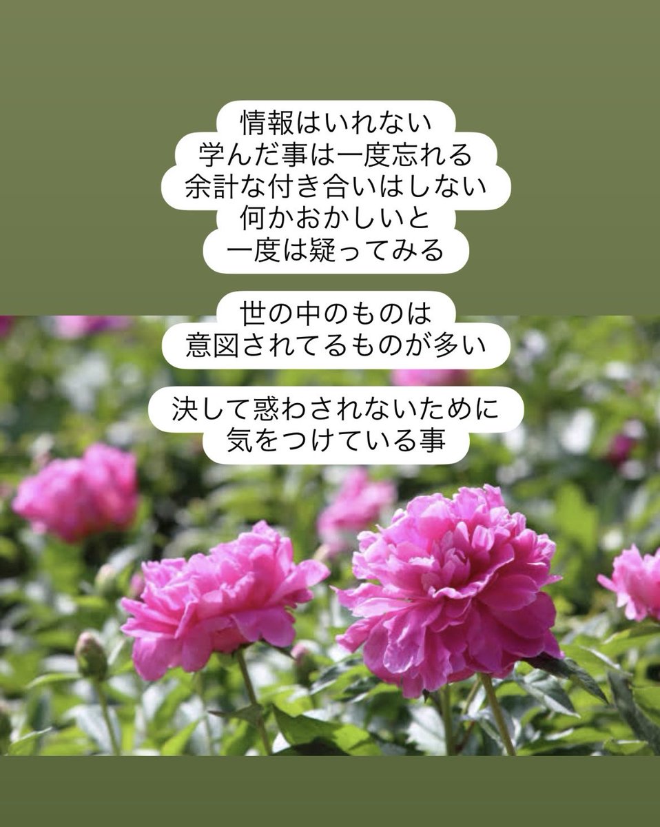 MegamiToshiko's tweet photo. https://t.co/x8GOY9BlER