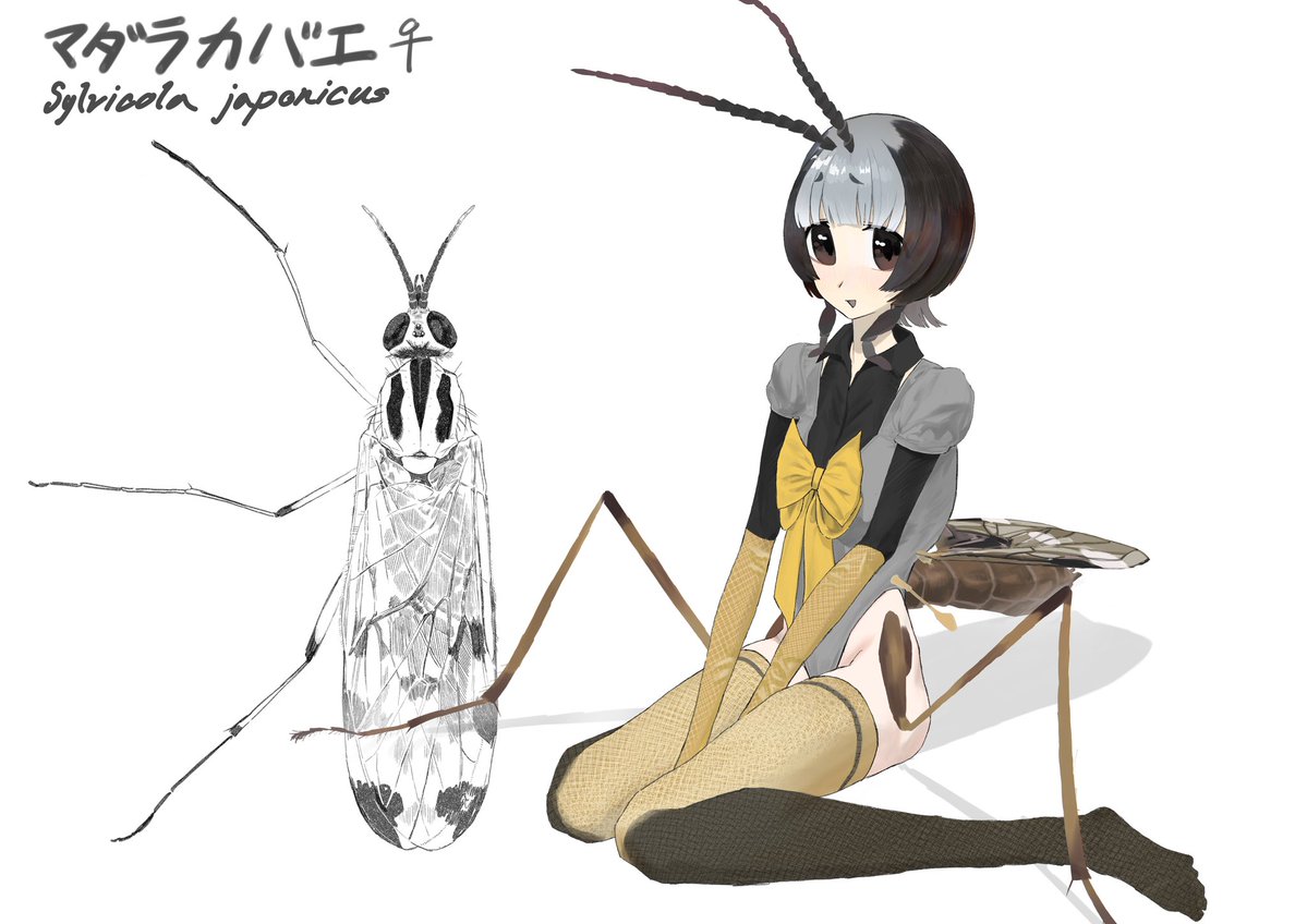 もーみん tweet media