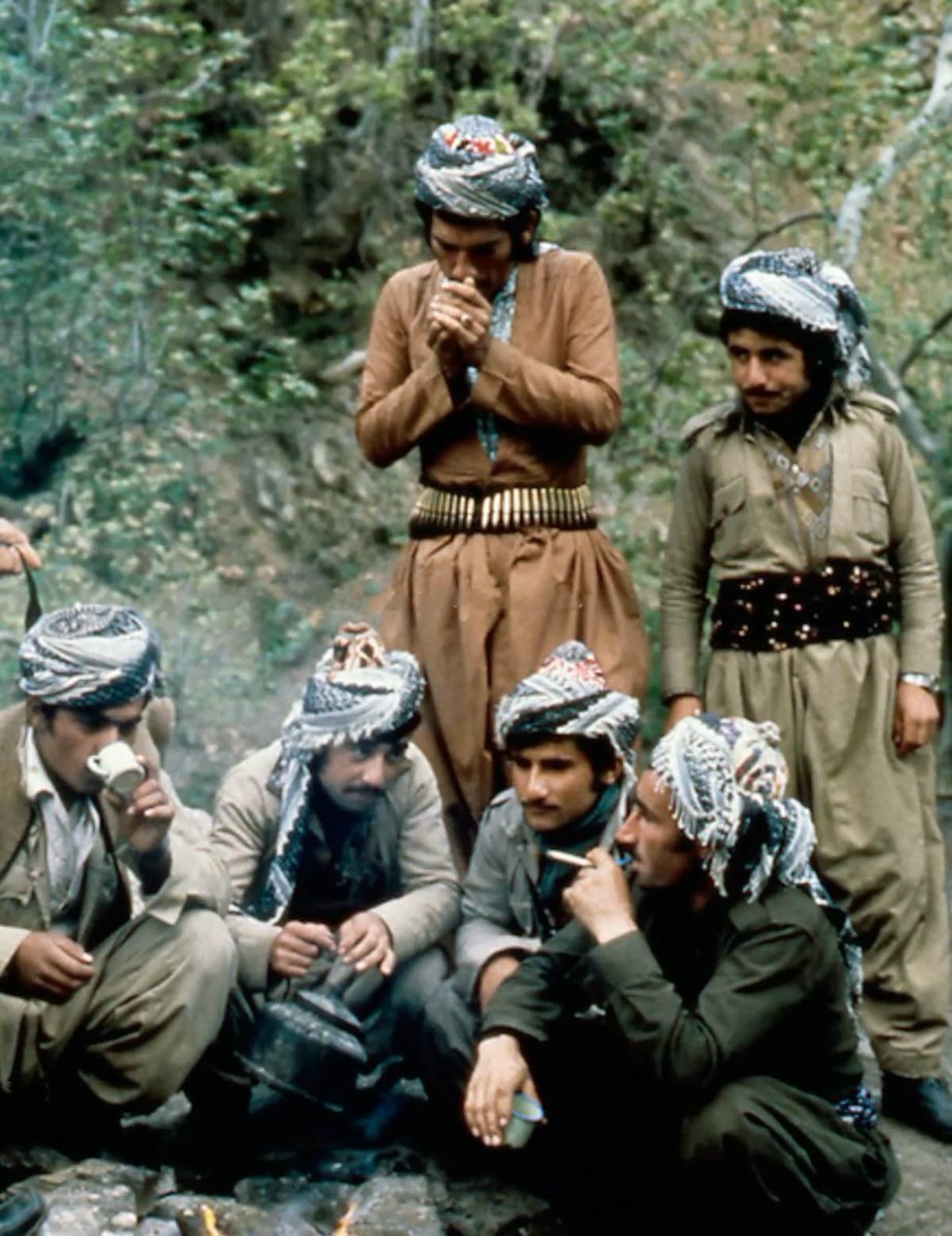 Kurds on X tweet media