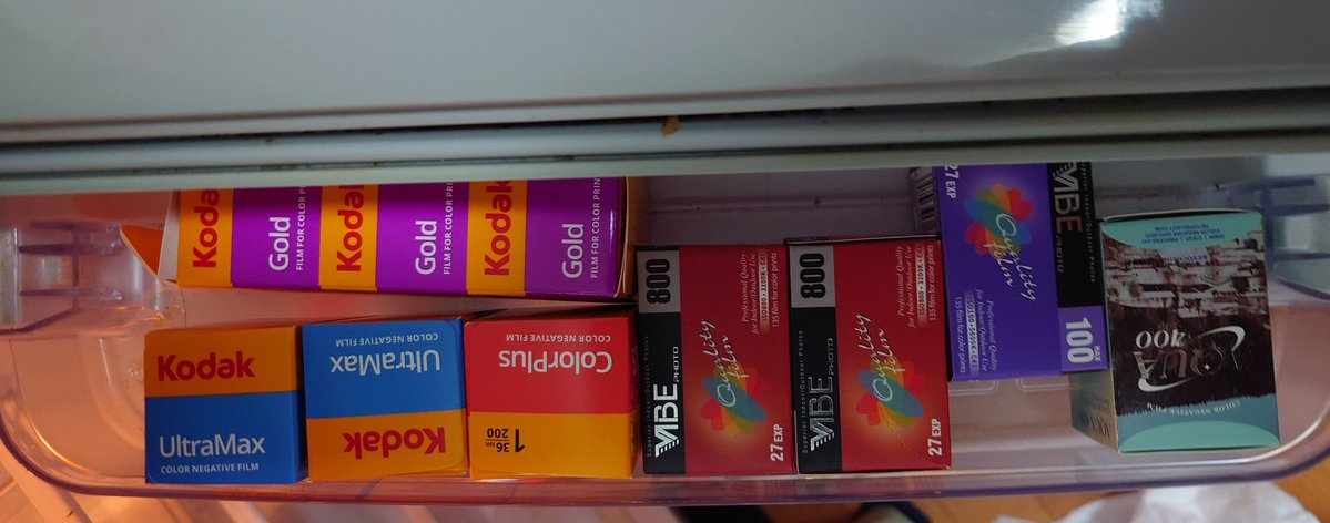 せーたろー tweet media