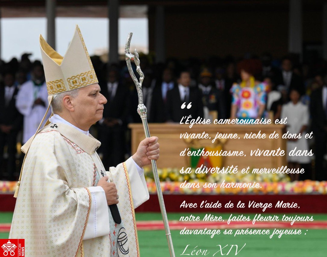 Vatican News tweet media