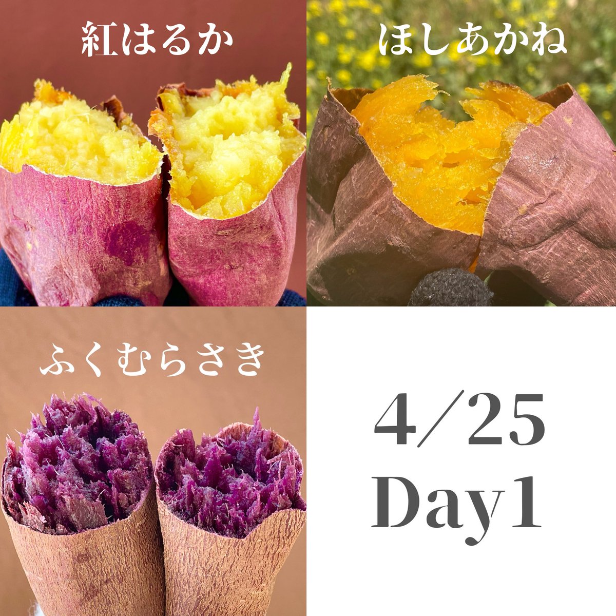 Junin_Toimo's tweet photo. 出店のお知らせ🍠

2026年4月25日(土)、26日(日)に開催される【元八マルシェ】に出店させていただきます🌷✨

日程：4月25日(土)、26日（日）
場所：八王子城跡
時間：25日▷▶︎10:00~17:00
          26日▷▶︎10:00~16:00

詳しくはこちら▷▶︎ https://t.co/BdIoufhmcZ https://t.co/ETE2Ejyxsn