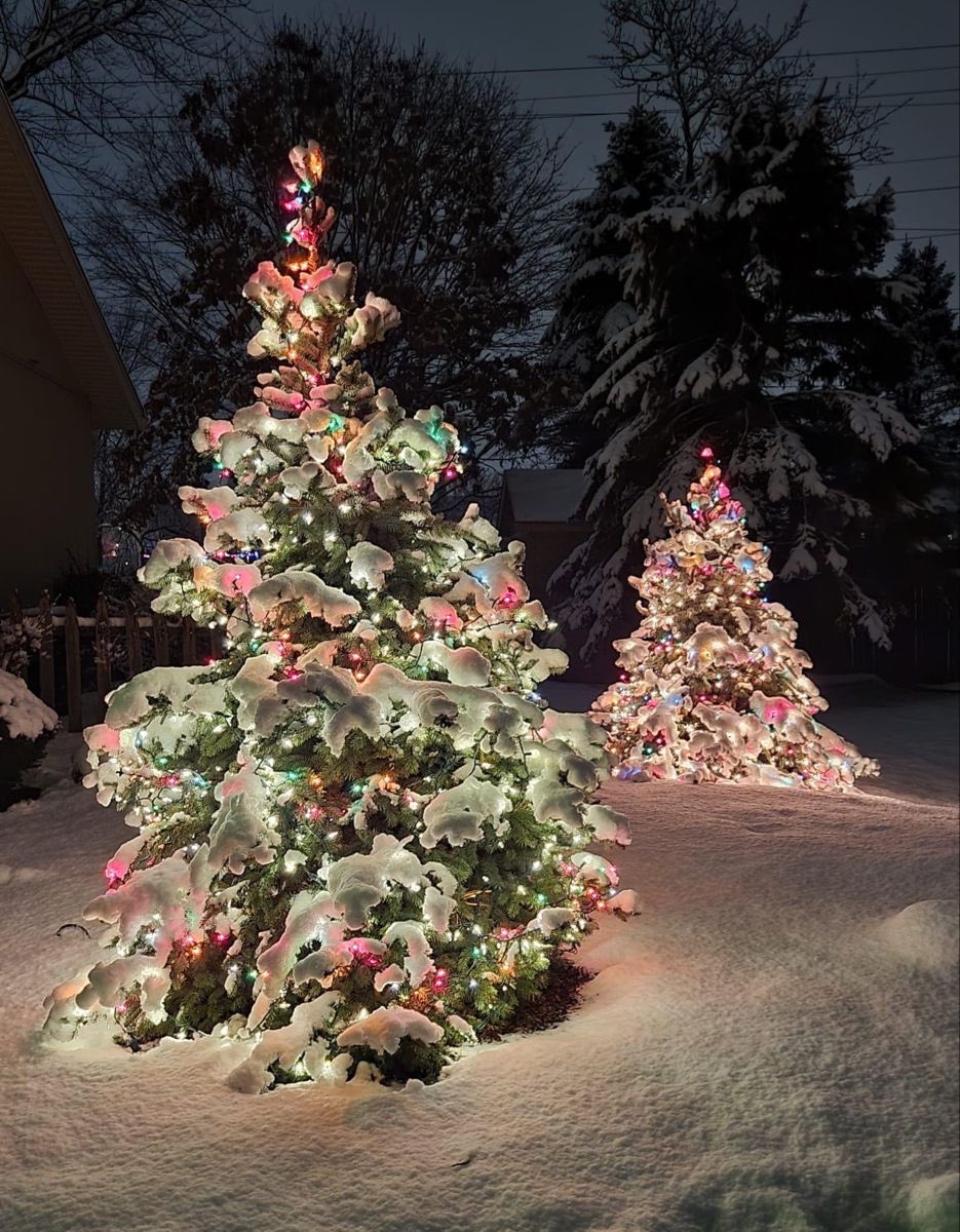 CandyCane_Elf's tweet image. 251 Days!! 
#Christmas #ChristmasCountdown2026 #Christmasmagic #holidayseason #MerryChristmas #Santa #ChristmasTree #Xmas #snowman #elf #christmascandy #christmascookies #folkart #newenglandchristmas